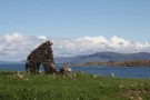 Mull From Iona